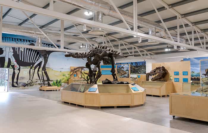 Dino Parque