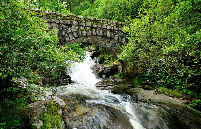 Puente de piedra sobre el río en el Parque Natural Madriu-Perafita-Claror Parque Natural Madriu-Perafita-Claror (Andorra)