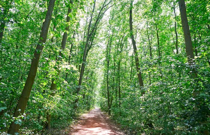Parques Naturales