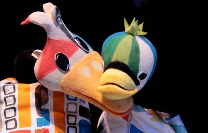 Pato Feo