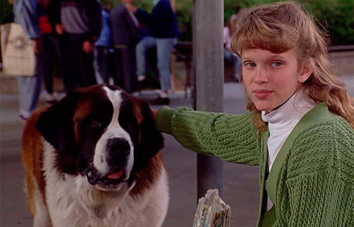 Beethoven, primera película sobre el gran perro San Bernardo Beethoven