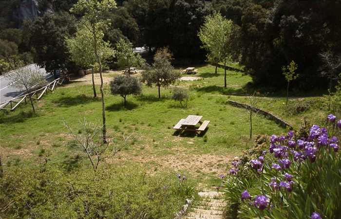 Parque Natural del Carrascar de la Font Roja, Alcoy Merendero en Carrascar de la Font Roja, Alcoy (Alicante)