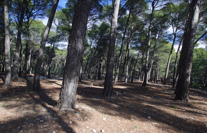 Zona de Acampada Controlada La Perdiz, Murcia Zona de Acampada Controlada La Perdiz, Murcia