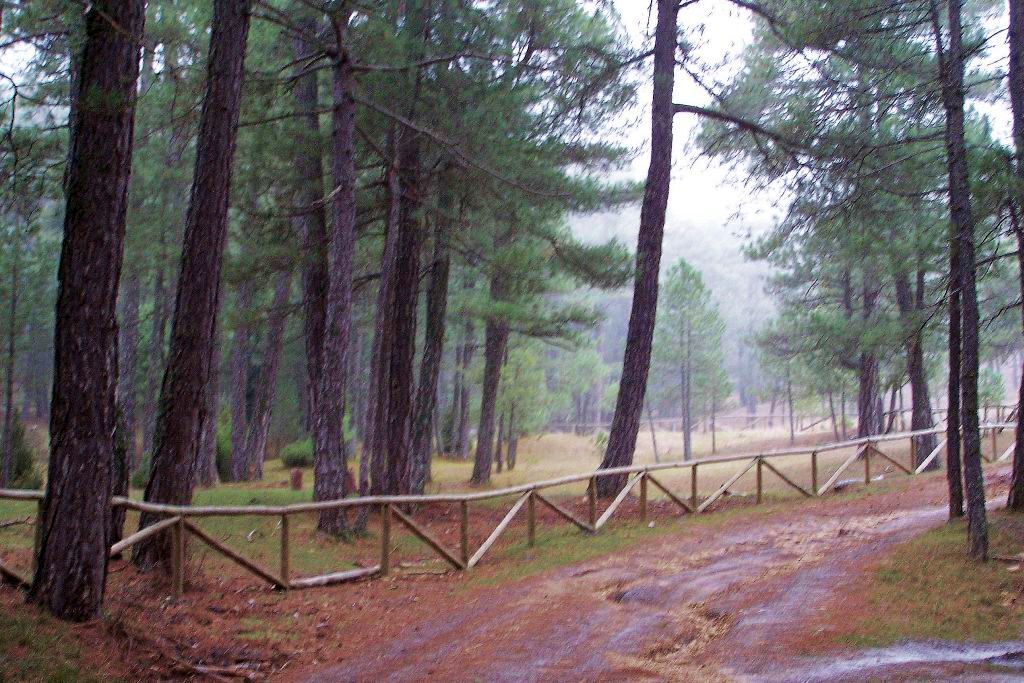 Las Acebeas, Siles (Jaén) Las Acebeas, Siles, uno de los mejores sitios para acampar en españa