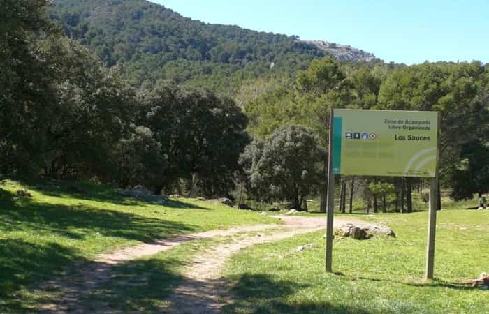 mejores sitios de españa para acampar Área para acampar en Los Sauces (Málaga).