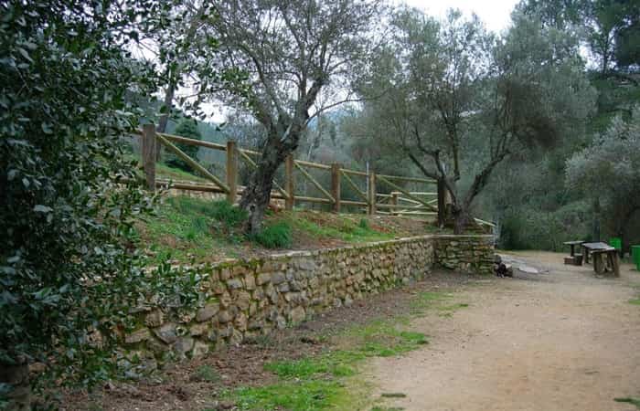 Zona de acampada Torrijos Área de Torrijos, de los mejores sitios de España para acampar