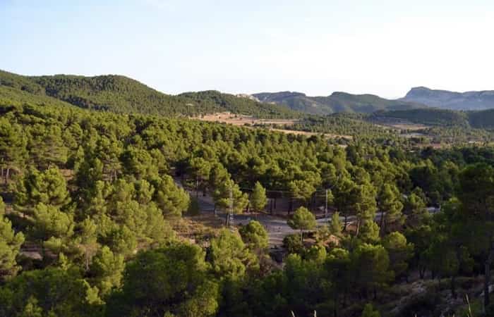 De acampada en Xorret del Catí, Alicante (Comunidad Valenciana) Zona arbolada de Xorret del Catí, Alicante