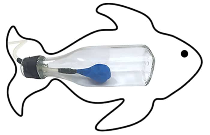 experimento de flotación
