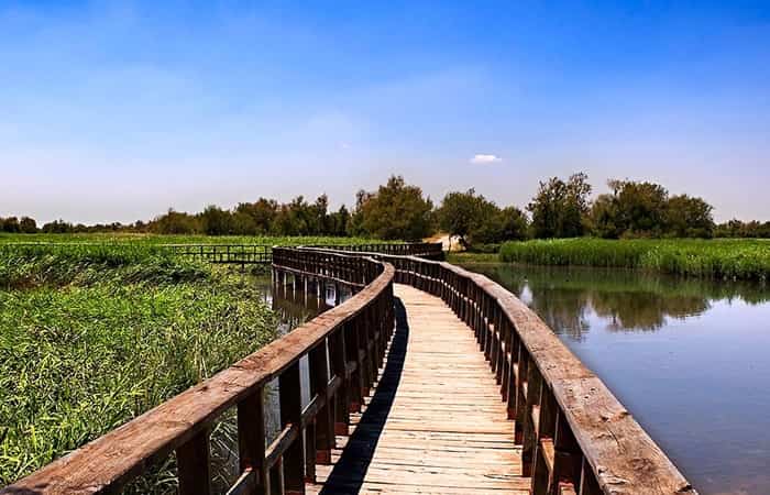 Tablas de Daimiel, Ciudad Real lugares bonitos de cada comunidad autónoma