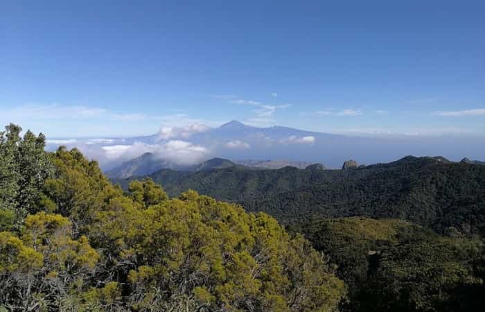Parque Nacional de Garajonay, La Gomera turismo rural por canarias