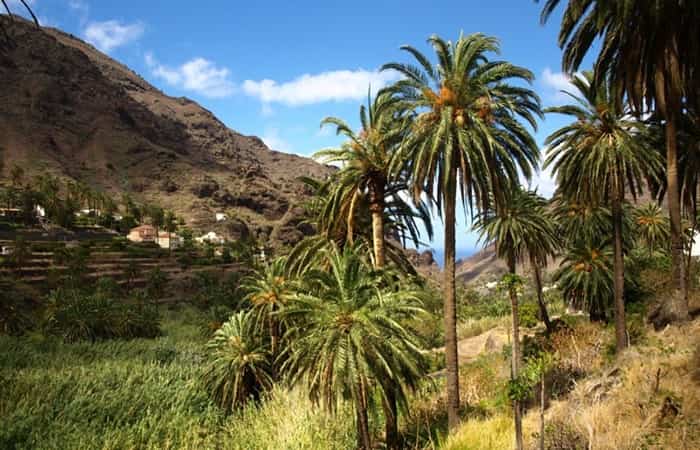 Valle Gran Rey, La Gomera turismo rural por canarias