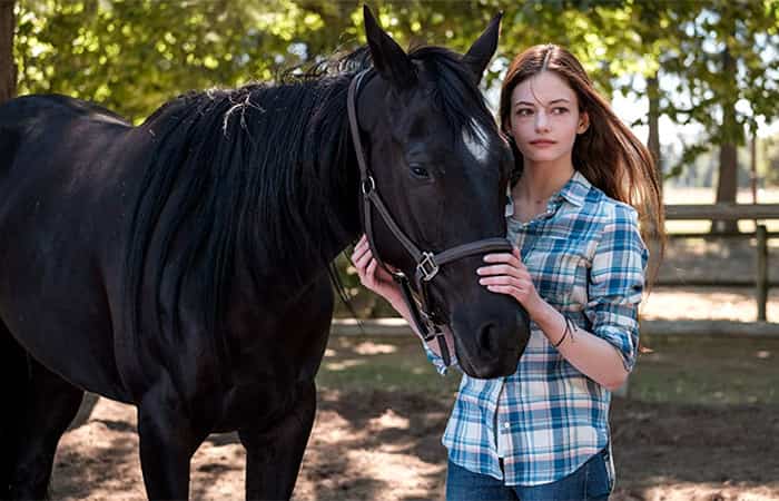 black-beauty películas disney+: Black Beauty