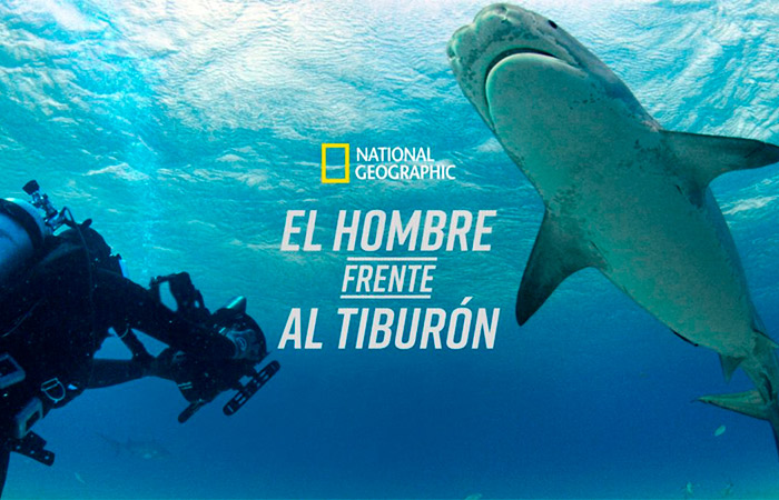 el-hombre-frente-al-tiburon series disney+: El hombre frente al tiburón