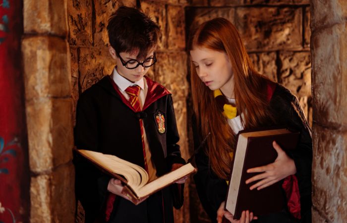 harry potter productos