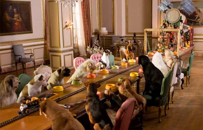 hotel-para-perros últimos estrenos de películas en hbo: Hotel para perros