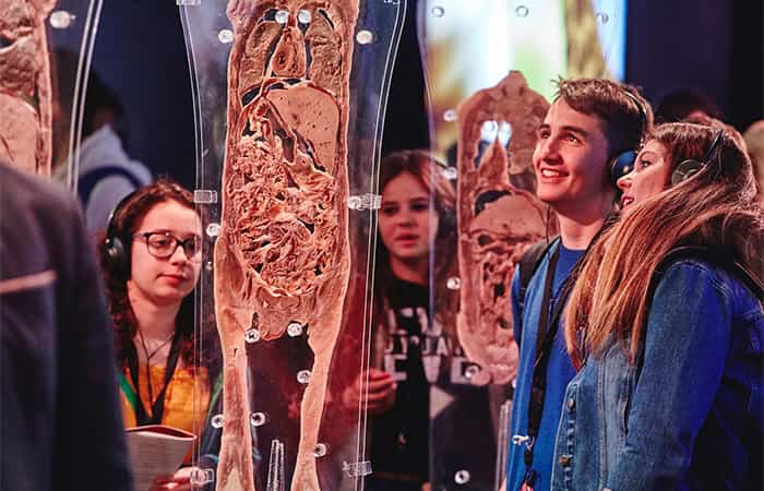 Bodies, la mayor exposición del cuerpo humano
