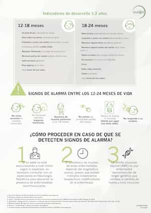 Infografía_Desarrollo psicomotor niño sano 12-24 meses