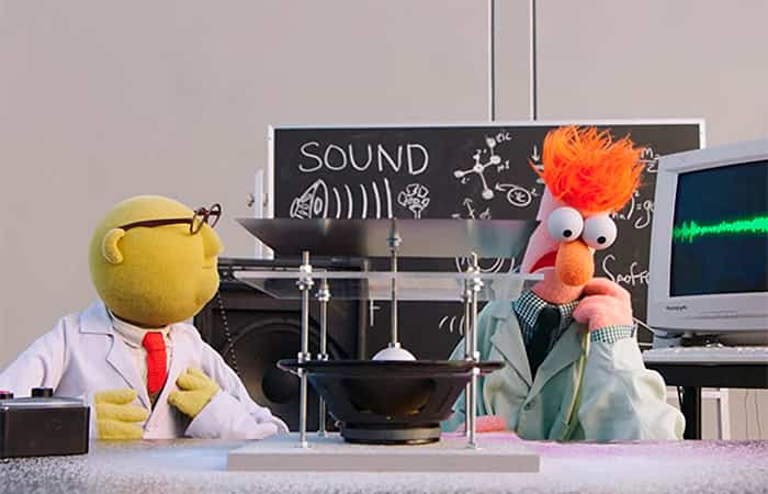 mas-muppets-que-nunca series disney+: Más Muppets que nunca