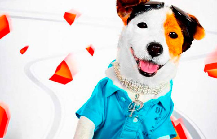 pancho-perro-millonario películas disney+