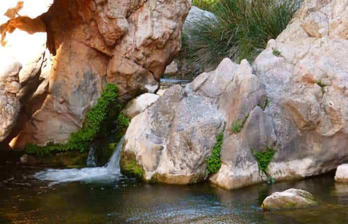 piscina natural tarragona baño permitido