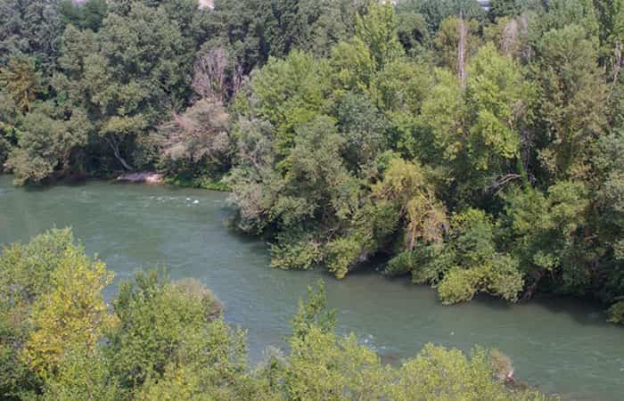 rio aragon baño permitido