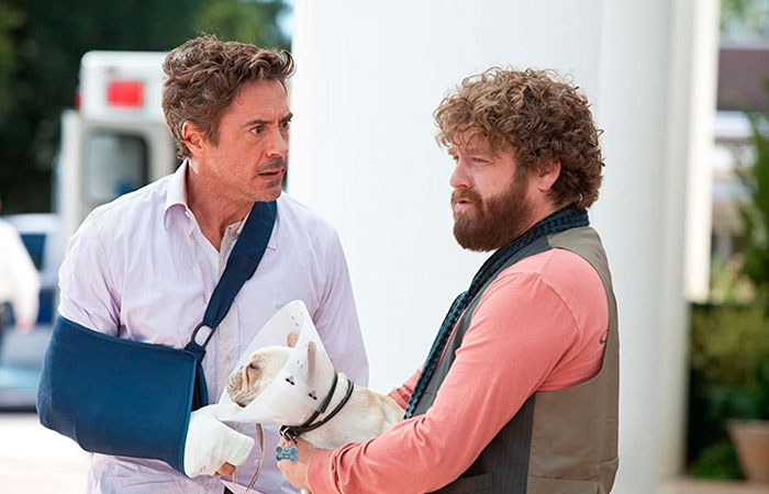 salidos-de-cuentas últimos estrenos de películas en hbo
