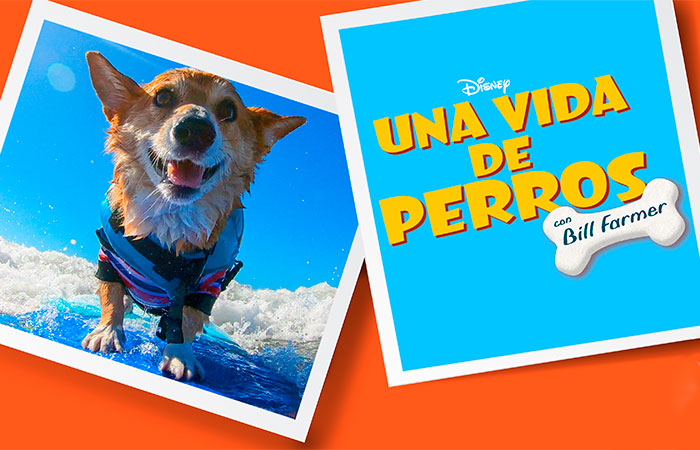 una-vida-de-perros series disney+