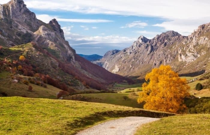 El Parque Natural de Somiedo es el mayor refugio de osos pardos de Europa Parque Natural de Somiedo, Asturias