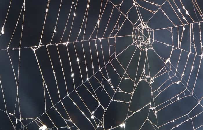 Juego de la telaraña para Halloweeen Juegos de Halloween: la telaraña