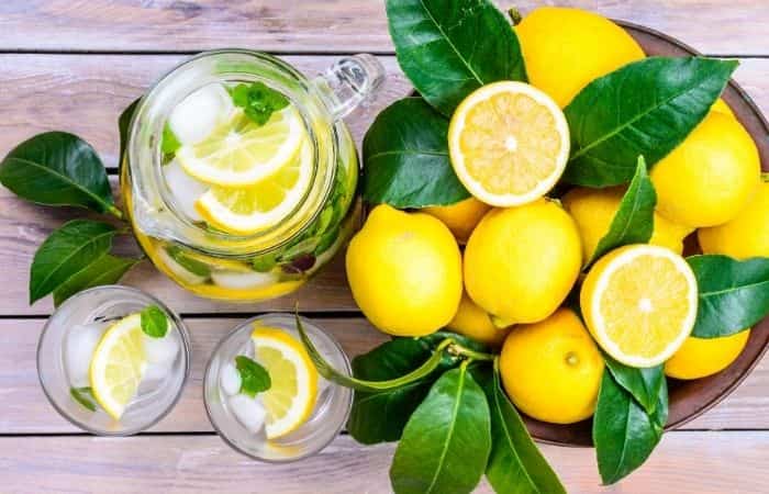 receta de limonada bebidas de limón: la clásica limonada