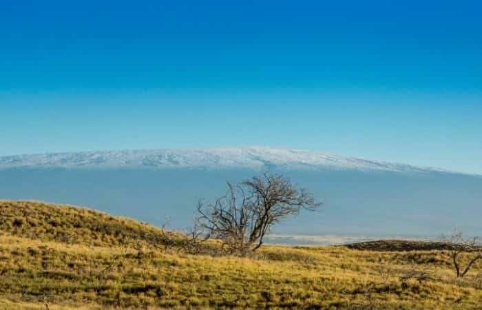 Mauna Loa Mauna Loa