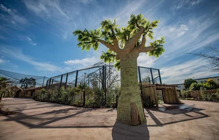 Chester Zoo, Chesire parques de atracciones de reino unido