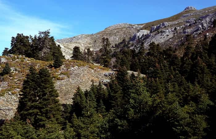 Parque de las Nieves, Málaga escalada