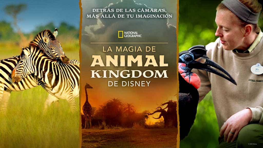 La magia de Animal Kingdom de Disney