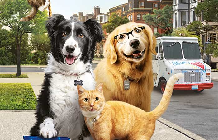 Como perros y gatos: La patrulla unida