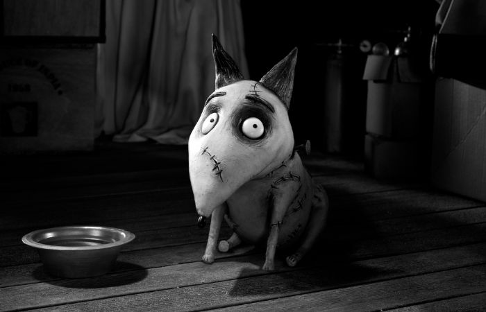 fotograma película Frankenweenie Frankenweenie