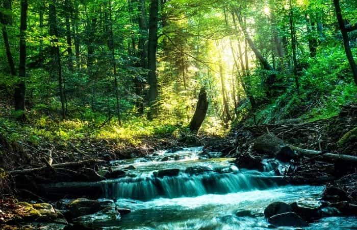 Corriente, en su acepción sobre el agua Corriente de un río