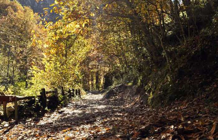 Ruta del Alba en Soto de Agues, Asturias