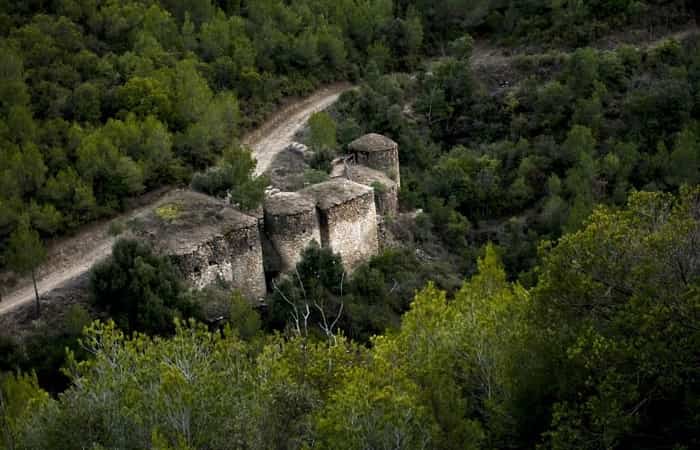 Tinas en el bosque, Valls del Montcau Tinas de Valls del Montcau, Barcelona (Cataluña)