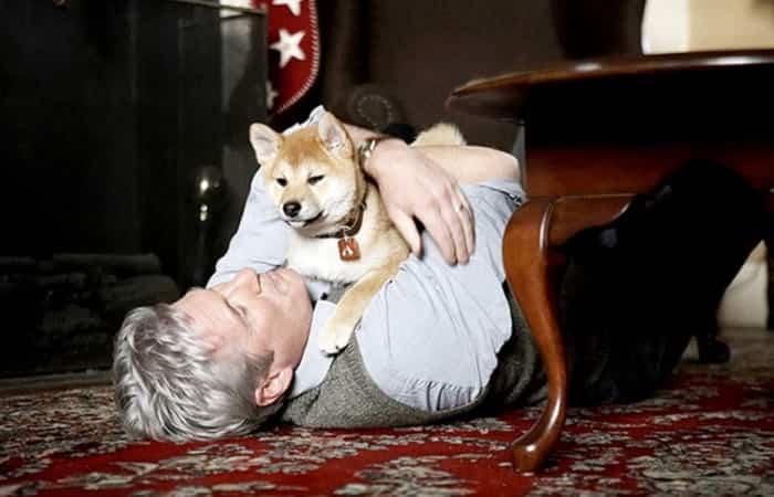 Siempre a tu lado, Hachiko mejores estrenos en películas de pluto tv