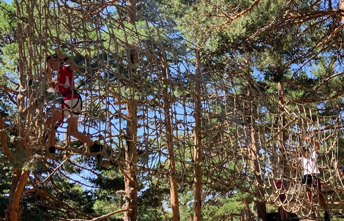 De Pino a Pino, Quintanar de la Sierra ecoturismo en burgos