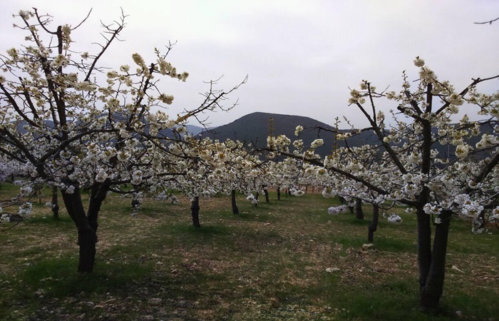 Valle de Caderechas, Burgos ecoturismo en burgos