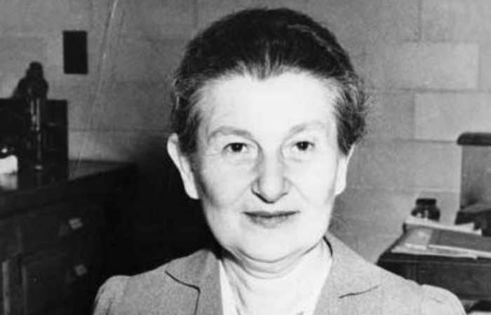 físicas hedwig kohn mujeres físicas