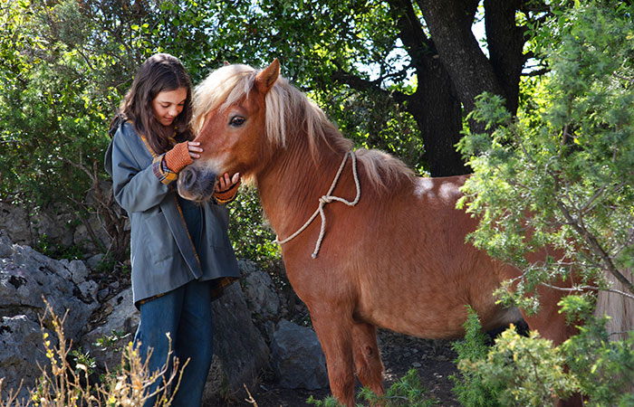 Mi amigo Pony