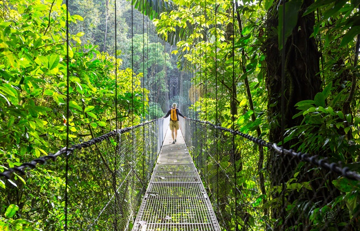 Puentes Colgantes, Costa Rica rutas de senderismo en costa rica