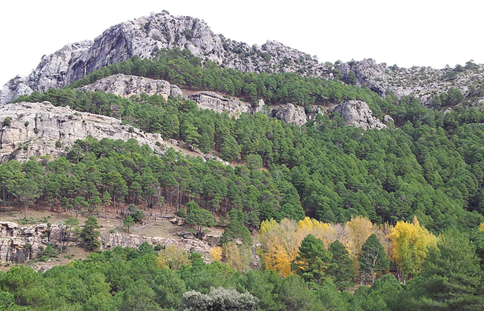 Arroyo Frío en Jaén