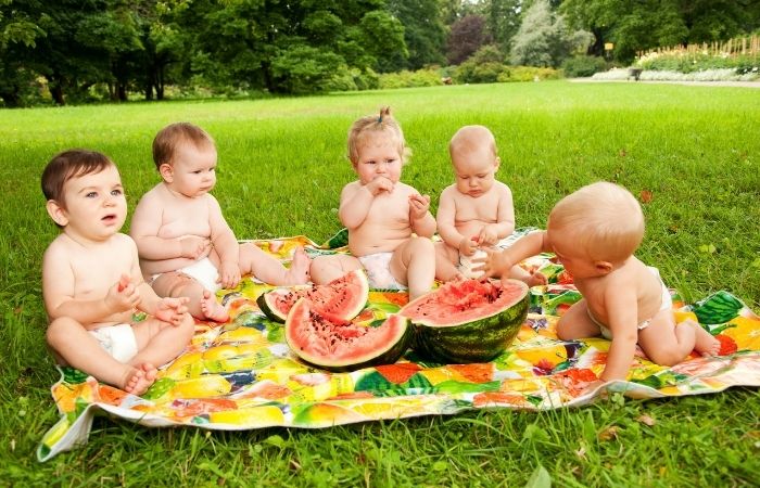 bebes sandía bebes sandía