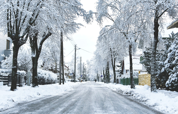 Precaución ante las calles arboladas cubiertas de nieve filomena: la ciudad quedó cuibierta de nieve