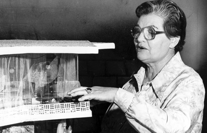 inventoras frances gabe inventoras