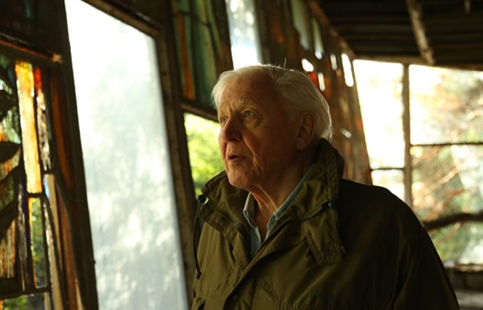 Series sobre el medioambiente